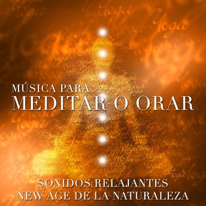 Música para Dejar de Sufrir