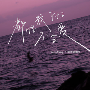 都怪我不会爱pt.2封面