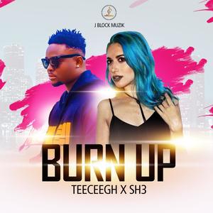 Burn Up(feat. Sh3)