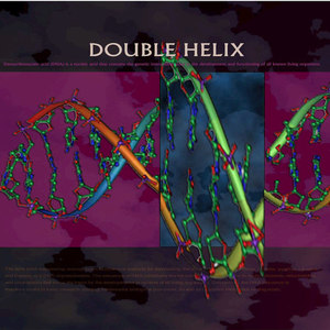 Double Helix