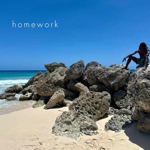 Homework (Explicit)