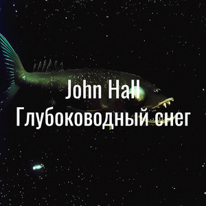 Глубоководный снег