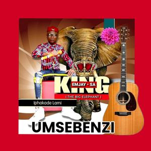 Bhasobha umlilo (Radio Edit)