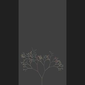 青春绽放的地方