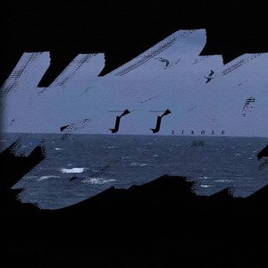 海青 - 了了