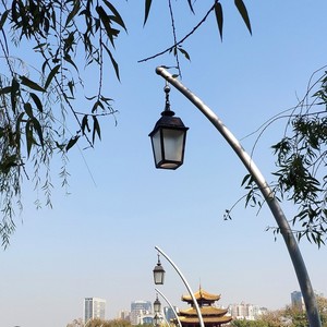 我们的纪念