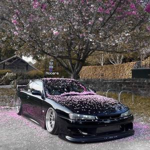 was that a dante red reference? (Explicit)