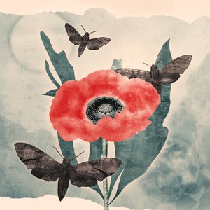 Schlaganfall (Explicit)