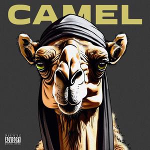 Camel (Explicit)