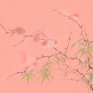 迢迢封面