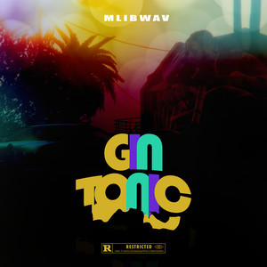 Gin Tonic (Explicit)