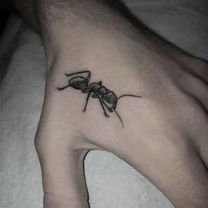 ants