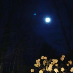 Droxxy - Winter Baby (Explicit)