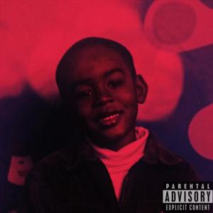 HOMME (Explicit)