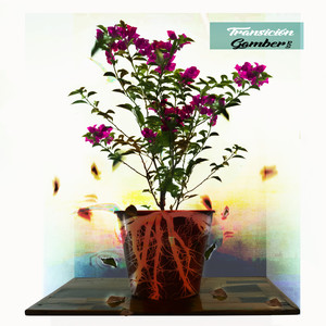 Subsistiendo (Explicit)