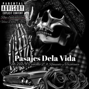 Pasajes Dela Vida (feat. Demonio L. Ft Renuente & Tasmania)