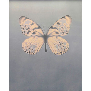 เรื่องราวความรัก