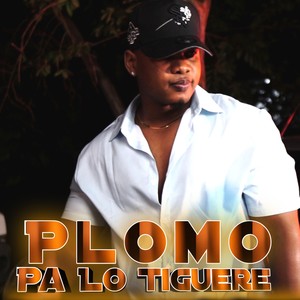 Plomo Pa Lo Tiguere (Explicit)