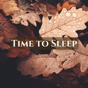 Time to Sleep - Healing Sounds of Rain & Water, Sea Waves & Rivers for Deep Sleeping