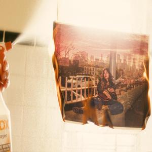 Flowers in Antarctica