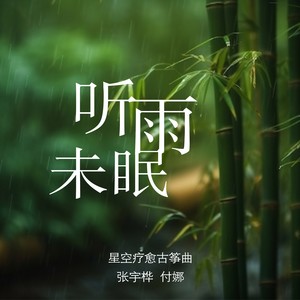 张宇桦 - 听雨未眠 (古筝版)