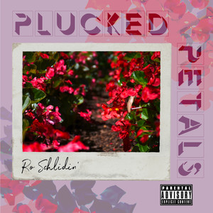 Options/Go Slide (Explicit)