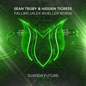 Falling (Alex Mueller Extended Remix)