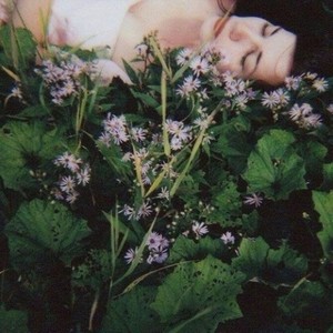 Between Flowers And Sleeping Words