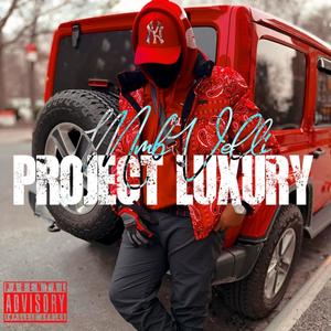 Project Luxury (Explicit)