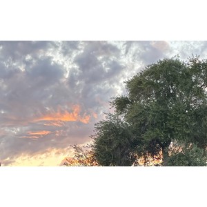 The Day My Heart Fell