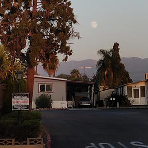 This2Wavy | The World Aint Only Grey