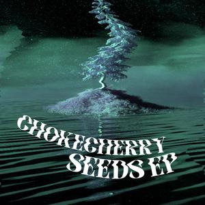 Chokecherry Seeds EP (Explicit)