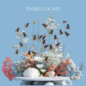 Eharo Lya Ndi (feat. Challo & Palapala)