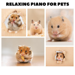 Calming For Hamsters