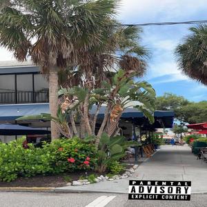 Dolphin Street (feat. goofy ahh boy) [Explicit]