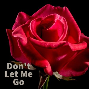 Don't Let Me Go