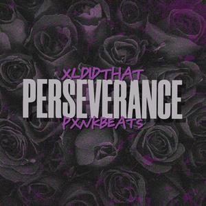 Perseverance (Explicit)
