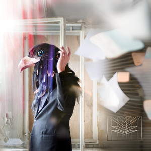 Linnut Palaa Kesolaan