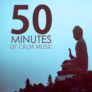 50 Minutes of Calm Music - Relaxing Tracks for a Quick Meditation Session