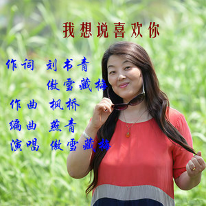 我想说喜欢你 (伴奏)