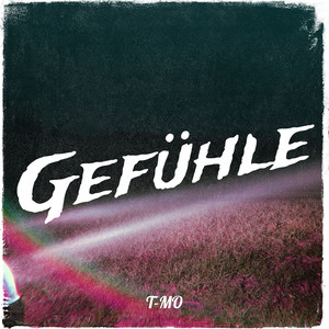 Die Jagd Nach Träumen