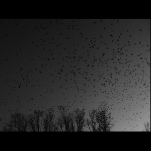 Sinaisthimata Diakekomena (Explicit)