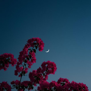 万世沧桑唯有爱是永远的神话