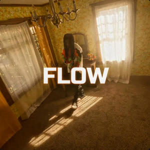 FLOW (Explicit)