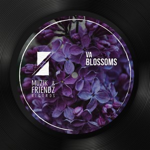 Vibration (Original Mix)