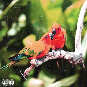 Condensation Trails(feat. Shewrotee, Latino Perrico & Asa Quana) (Explicit)