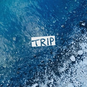Trip
