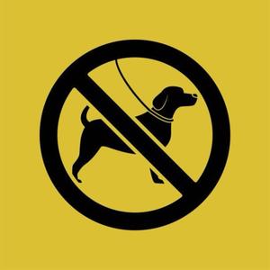 DOGGYSTYLE (feat. juiceboxxx) (Explicit)