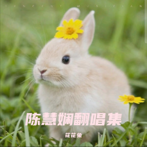 玻璃窗的爱 (Live)封面
