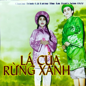 Lá Của Rừng Xanh